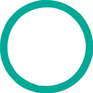 4004 FJC O-ring (10 Pack)