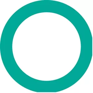 4213 FJC O-ring (10 Pack)