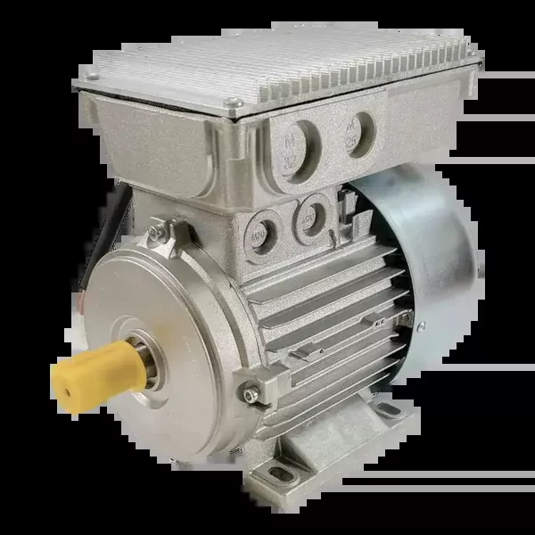 Coats OEM Electric Motor for Tire Changer, 115V, 2-Speed – 85609751