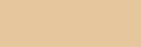 Paasche Extreme Air Multi-Surface Airbrush Paint - 2 oz Fleshtone