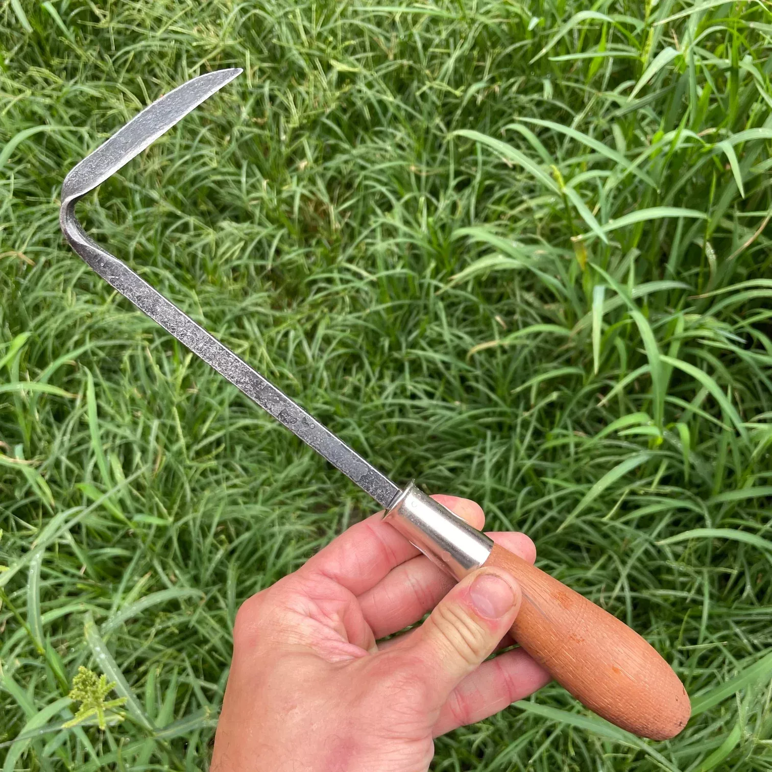 Piginor - Cape Cod Weeder (PG002)